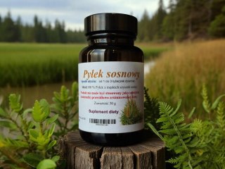 Pyłek sosnowy 20 g. TESTOSTERON, LIBIDO, PROSTATA, AFRODYZJAK, WITALNOŚĆ