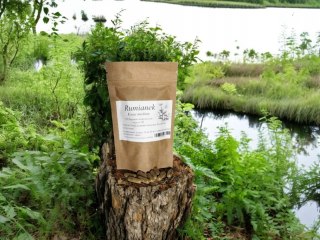 Rumianek kwiat mielony 100 kapsułek żelatynowych !!!POPRAWA TRAWIENIA!!!