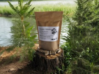 Siemie lniane 100 kapsułek !!! w pełni WEGAŃSKICH!! KWASY OMEGA 3