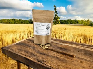 Siemie lniane złote 100 kapsułek !!! w pełni WEGAŃSKICH!! KWASY OMEGA 3