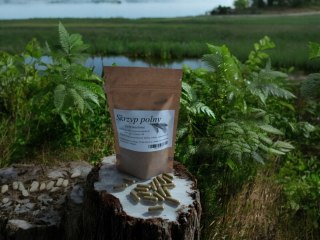 Skrzyp polny 100 kapsułek !!!WEGAŃSKICH!! zdrowa skóra, włosy i paznokcie