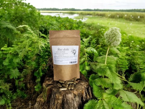 Ślaz dziki 100 kapsułek działanie przeciwzapalne i antyoksydacyjne