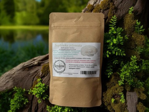 Soplówka jeżowata 100 kapsułek żelatynowych ZAPOBIEGA ROZWOJOWI DEMENCJI