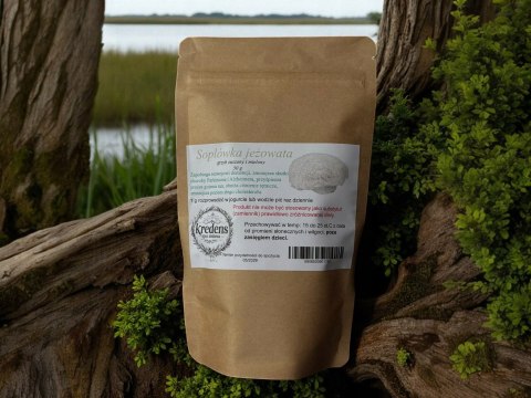 Soplówka jeżowata 50 g ZAPOBIEGA ROZWOJOWI DEMENCJI, NA CHOROBĘ PARKINSONA