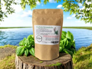 Szałwia hiszpańska (CHIA) 100 kapsułek żelatynowych CHOLESTEROL, CIŚNIENIE