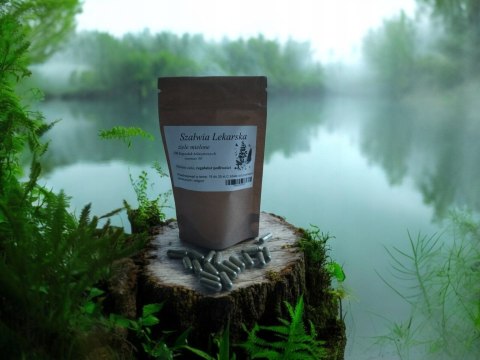 Szałwia lekarska 100 kapsułek żelatynowych !!!PRZECIW POCENIU SIĘ!!!