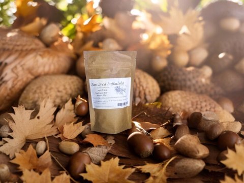 Tarczyca Bajkalska proszek 50 g przeciw nowotworowe