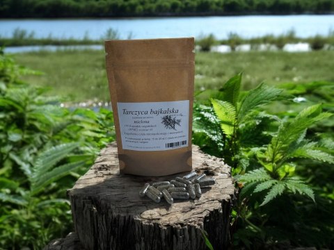 Tarczyca Bajkalska w kapsułkach vege 100 szt przeciw nowotworowe