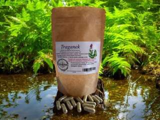 Traganek 100 kapsułek żelatynowych WĄTROBA NERKI