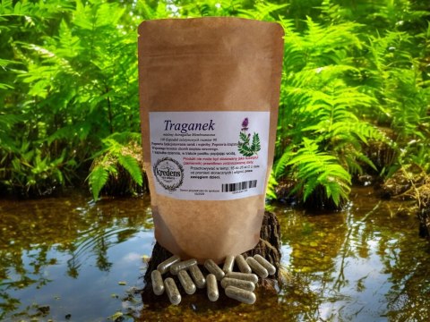 Traganek 100 kapsułek żelatynowych WĄTROBA NERKI