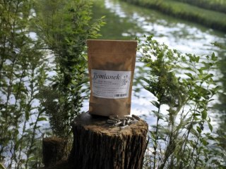 Tymianek kapsułki wegańskie (HPMC) 100 szt trawienie i działanie wykrztuśne