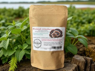 Wrośniak różnobarwny 100 kapsułek żelatynowych PRZECIWNOWOTWOROWY