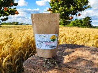 Wrotycz 100 kapsułek żelatynowych PASOŻYTY TRAWIENIE WIRUSY