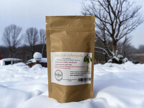 Żeń Szeń syberyjski 100 kapsułek wegańskich, POPRAWA PAMIĘCI, LIBIDO