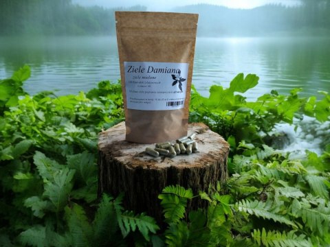 Ziele Damiana 100 kapsułek żelatynowych PRZEMĘCZENIE, AFRODYZJAK